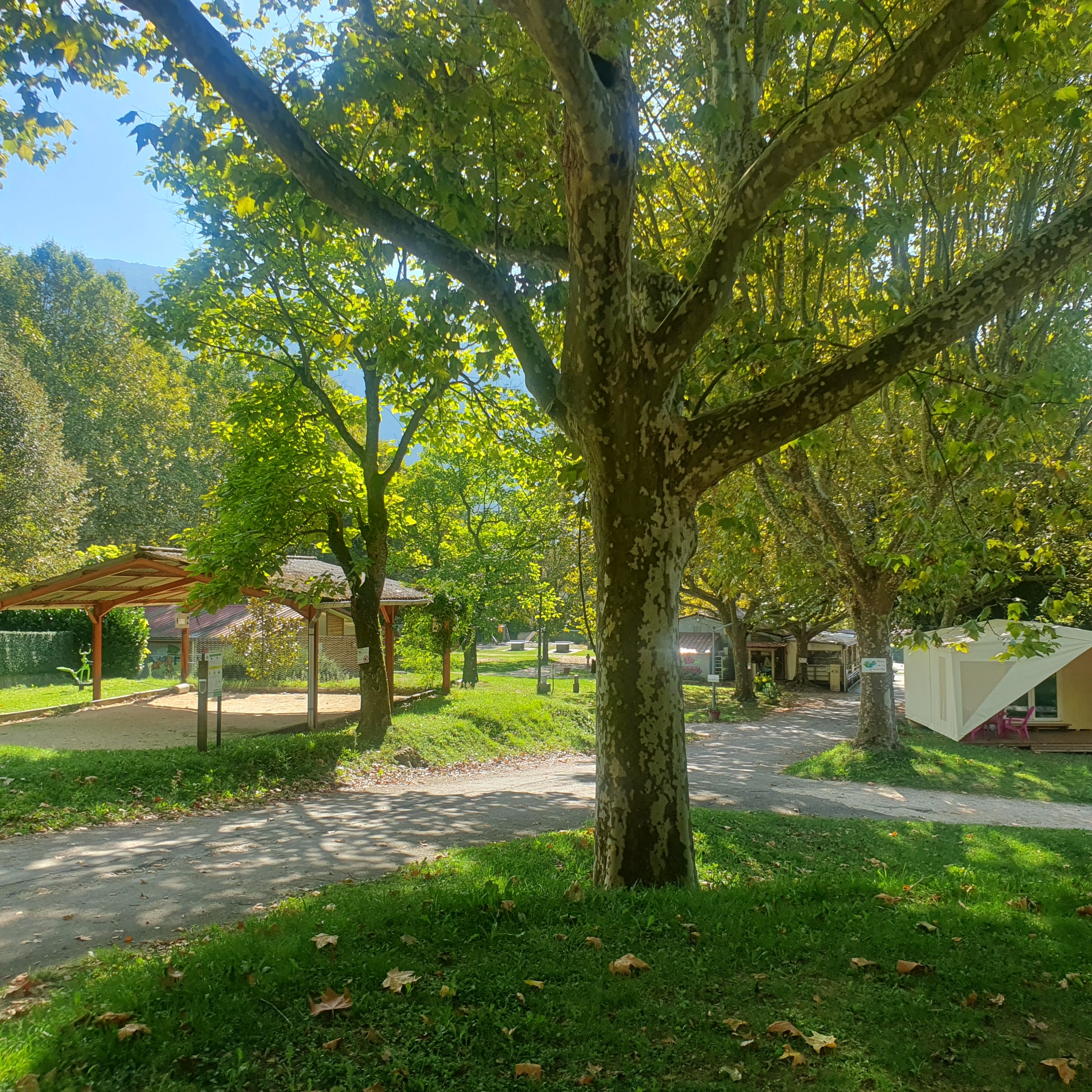 Camping Le Bois de Cornage — Foto 6
