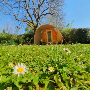 Locatif - L'Aventure DUO (zonder water, 1 slaapkamer, 11 m²) 🍀🍀 - Camping Le Bois de Cornage