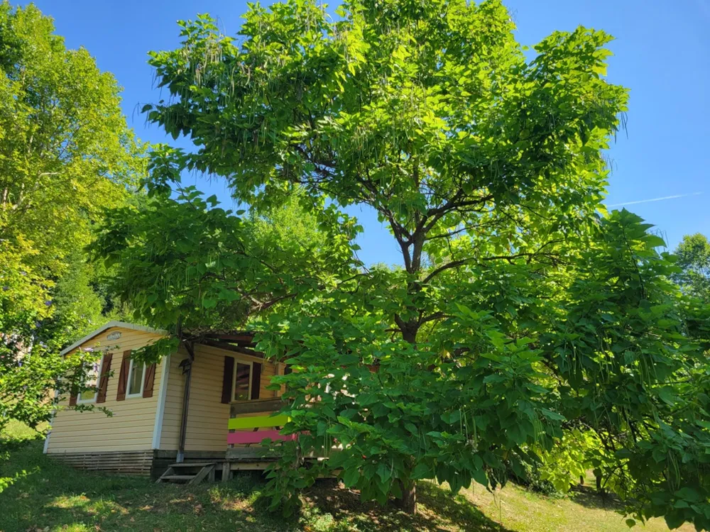 Location - Le Bonheur (2 Chambres, 29 M², Climatisé) 💛💛💛💛 - image n°3 - Camping Le Bois de Cornage