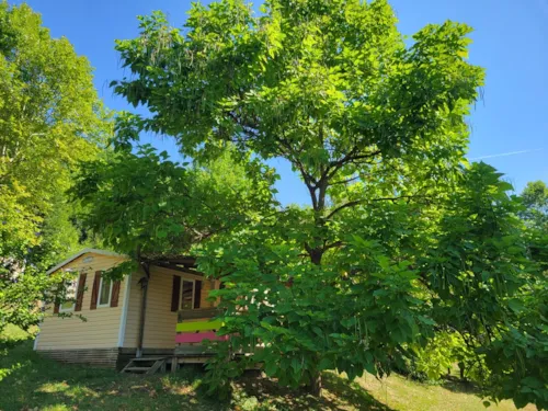 Huuraccommodatie(s) - Le Bonheur (2 Slaapkamers, 29 M², Airconditioning) 💛💛💛💛 - image n°3 - Camping Le Bois de Cornage