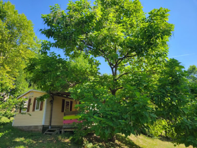 Le Bonheur (2 bedrooms, 315 sq ft, air-conditioned) ????????