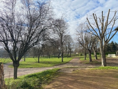 Camping package (pitch, 2 people, 1 vehicle)