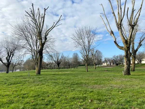 Forfait Camping (Emplacement, 2 Personnes, 1 Véhicule)