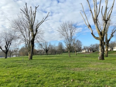 Camping package (pitch, 2 people, 1 vehicle)