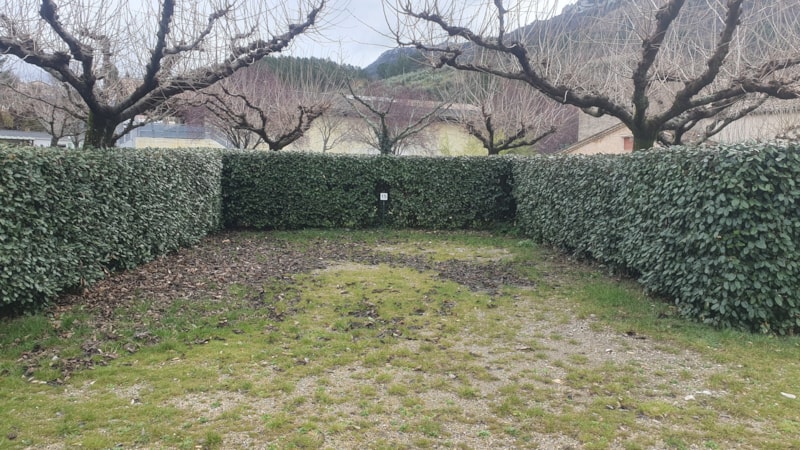 Forfait camping (emplacement, 2 personnes, 1 véhicule)