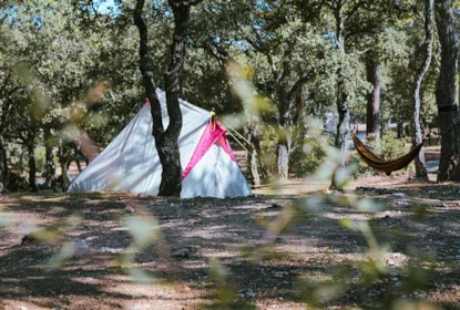 Piazzola Con Elettricità