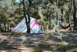 Kampeerplaats(en) - Standplaats Met Elektriciteit -  Camping Ladouceur