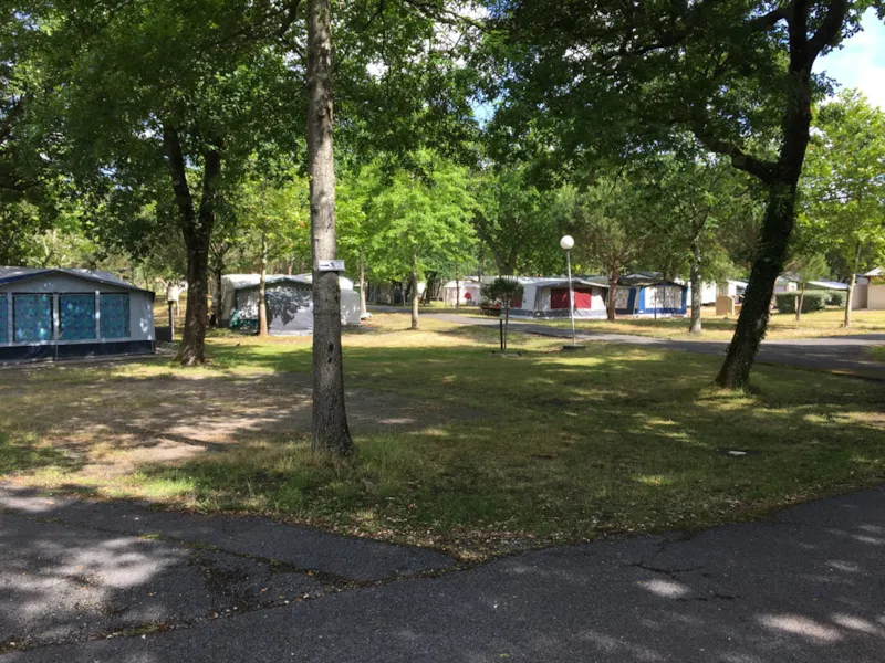 Emplacement Nu Avec Électricité (Tente/Petit Van)