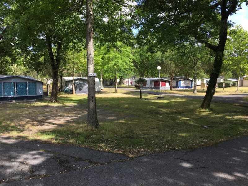 Piazzola con elettricità (tenda/piccolo furgone)