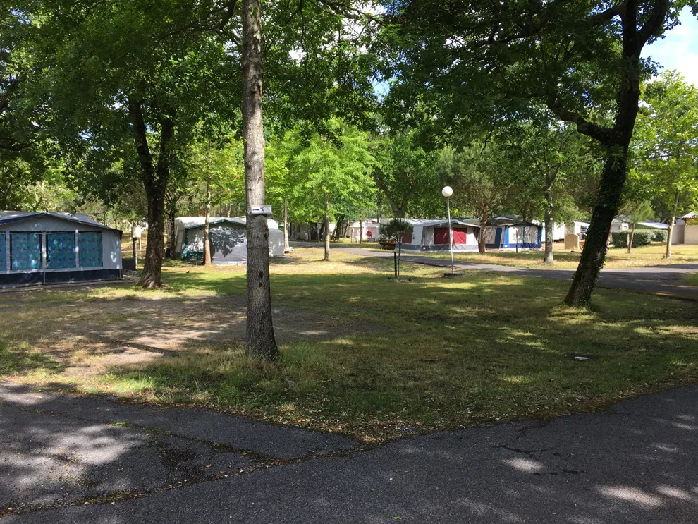Emplacement - Emplacement Nu Avec Électricité (Camping-Car/Caravane) - Camping Paradis Albret