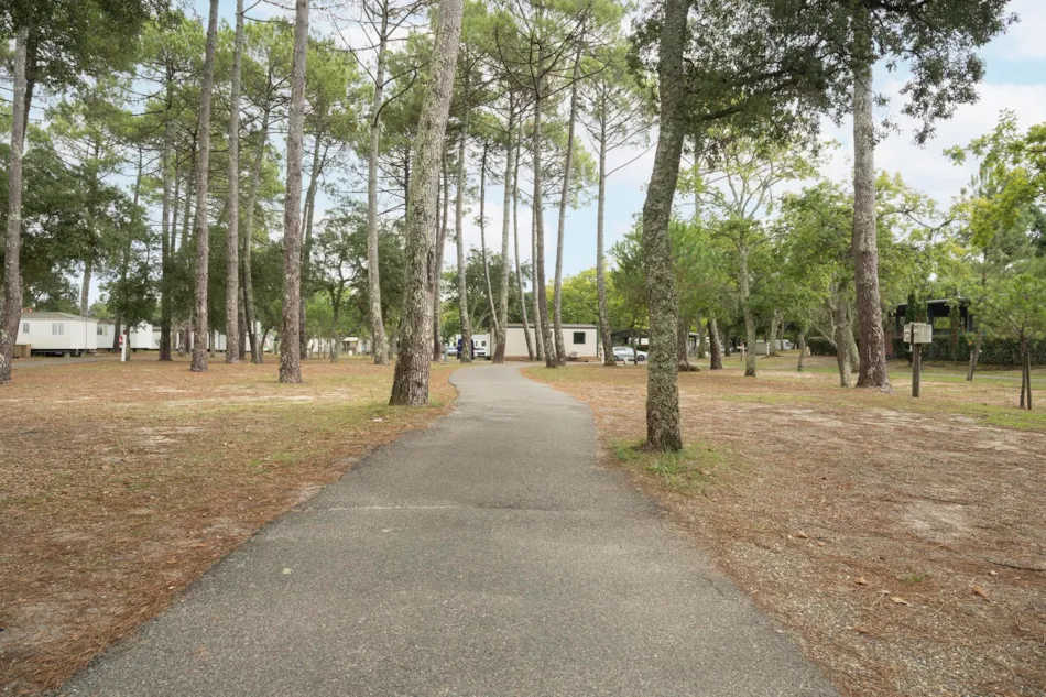 Camping Paradis Albret