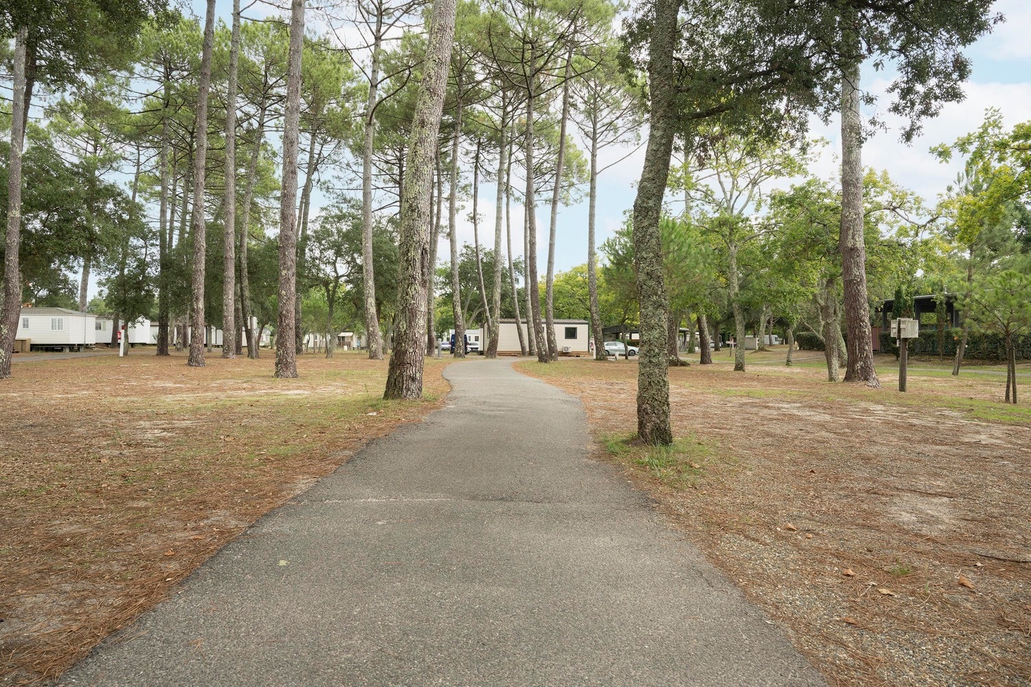 Camping Paradis Albret — Photo 10