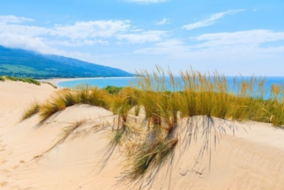 TAIGA Tarifa Punta Paloma