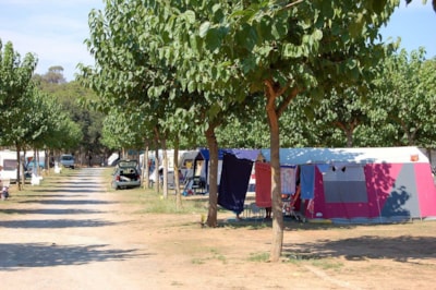 CAMPING PLACE — 2
