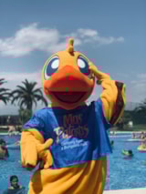 Foto #4 van Camping Mas Patoxas