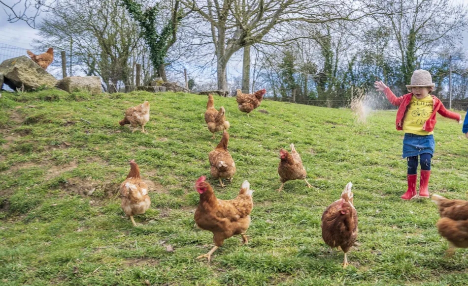 L'Étable des Mauges en Anjou