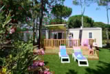 Cottage Funny *** - 2 Habitaciones Cottage Funny *** - 2 Habitaciones