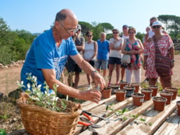 YELLOH! VILLAGE - LA BASTIANE - image n°39 - 