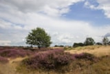 Foto #40 van Camping De Kan Hoeve