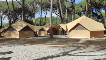 Mietunterkunft - Glamping - Camping Pla de la Torre
