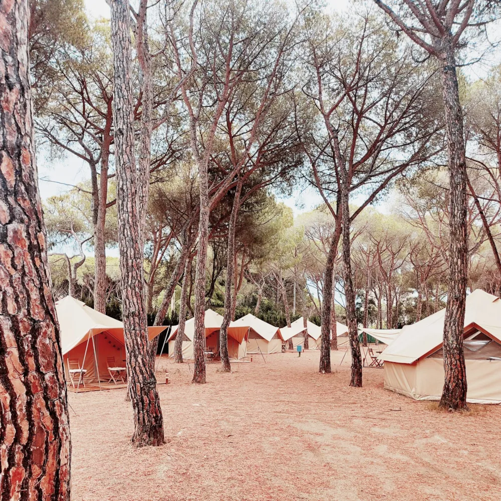 Camping Pla de la Torre