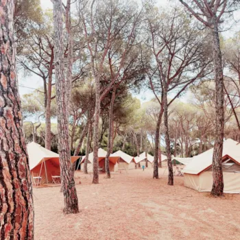 Camping Pla de la Torre - image n°2 - Camping Direct