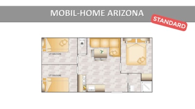 ARIZONA STANDARD — 9