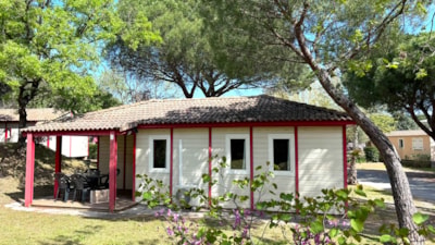 UXMAL STANDARD — 1