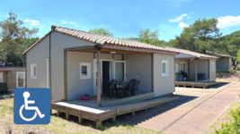 CHICANA STANDARD (PMR)