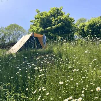 Emplacement - Forfait Emplacement Nu Standard - Camping Sérendipité 