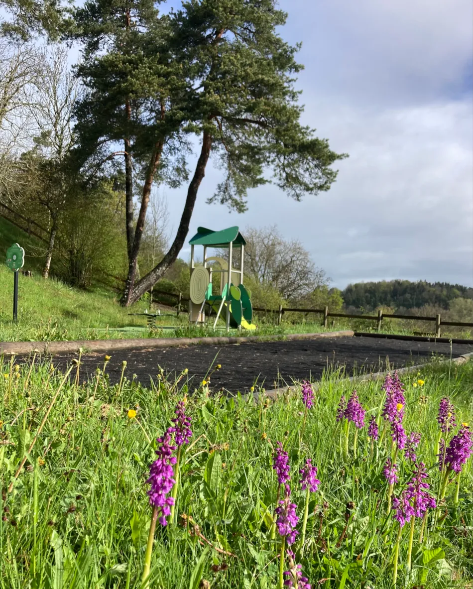 Camping Sérendipité 