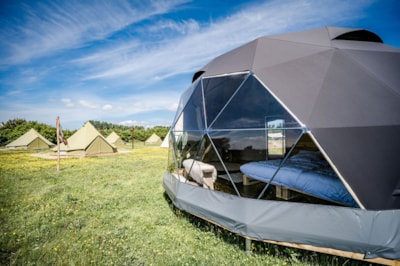 Dome — 8