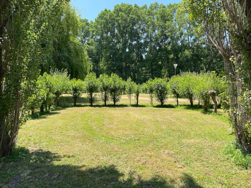 Komfortpaket, mit Strom