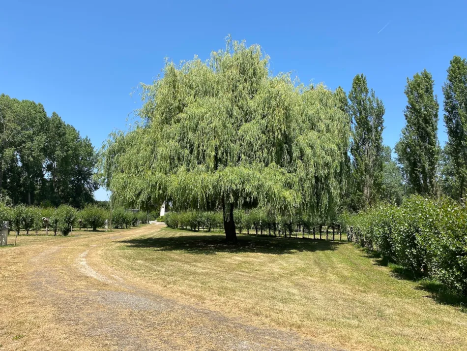 Camping Le Marais Sauvage