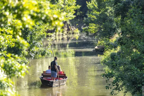 Camping Le Marais Sauvage