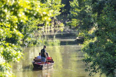 Camping Le Marais Sauvage