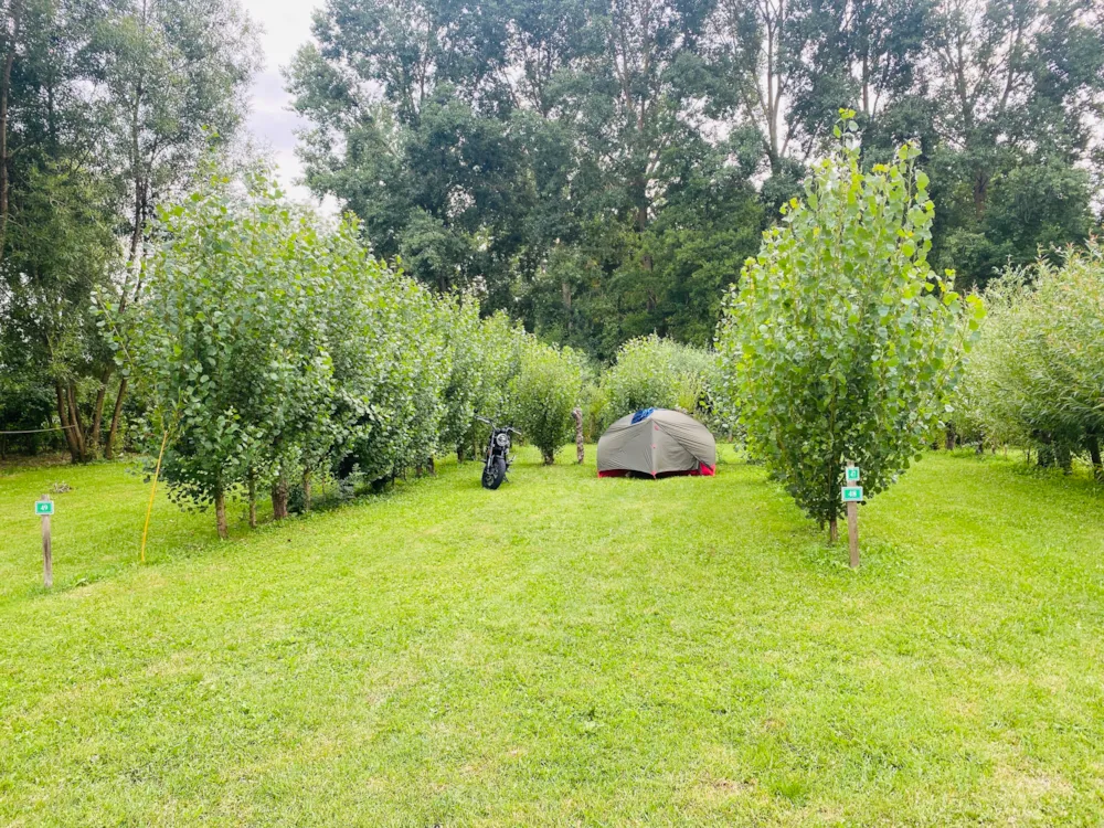 Kampeerplaats(en) - Standplaats Pakketprijs Wandelaar Per Voet Of Per Fiets Met Tent - Camping Le Marais Sauvage