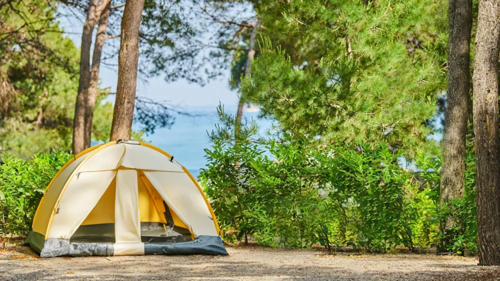 Aminess Avalona Camping Resort - image n°1 - Camping Direct