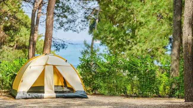 Aminess Avalona Camping Resort - image n°1 - Camping Direct