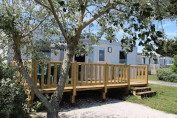 Location - Mobil-Home Classique 2 Chambres D - Camping Paradis La Baie de Ploemeur