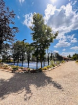 Foto #9 van Papillon Kinrooi