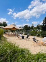 Foto #8 van Papillon Kinrooi