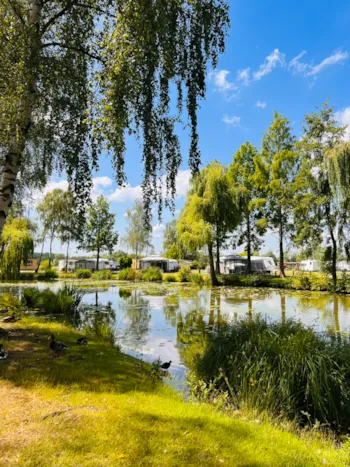 Stellplatz - Stellplatz A - Am Wasser - Papillon Kinrooi