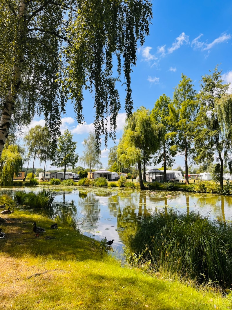 Emplacement A - près de l'eau