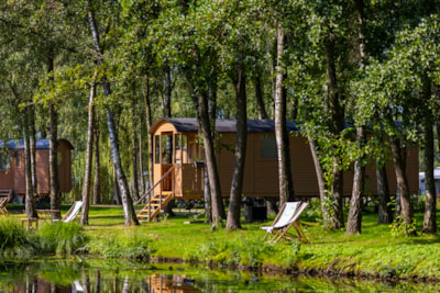 Gipsy caravan with terrace — 1