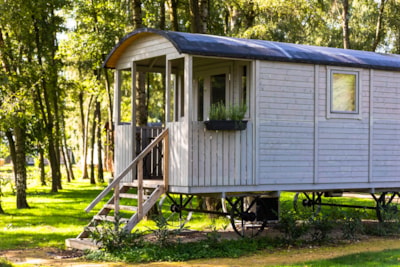Gipsy caravan with terrace — 2