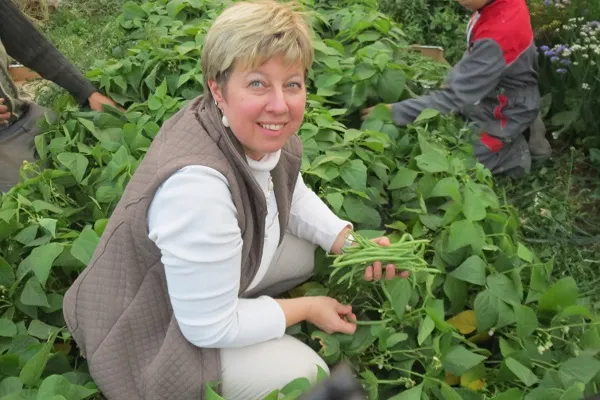 Camping La Ferme Des Saules