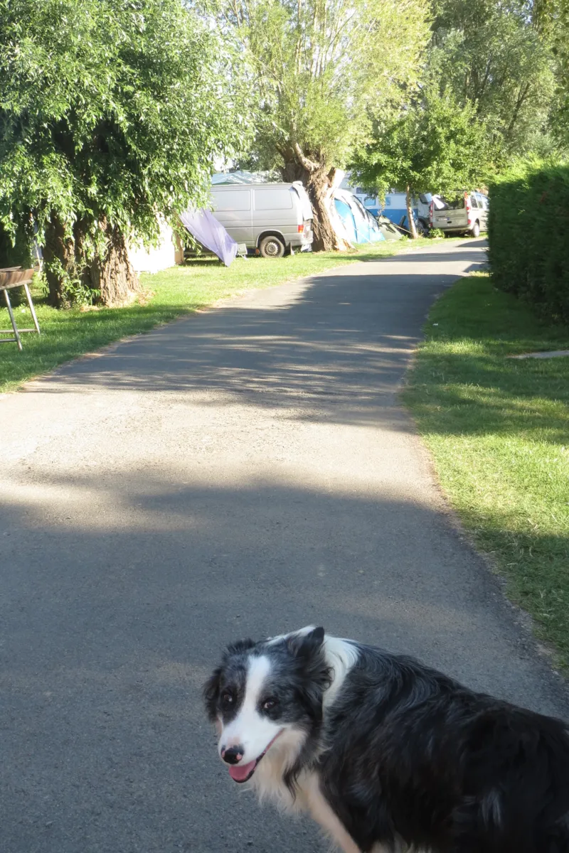 Emplacement Caravane