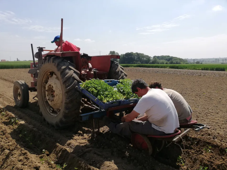Camping La Ferme Des Saules