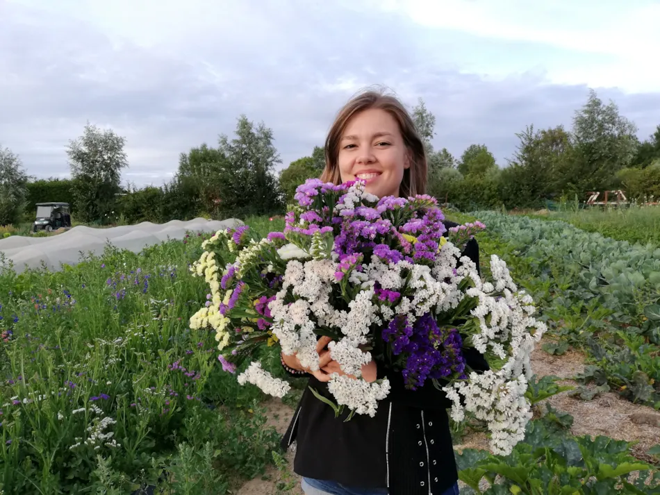 Camping La Ferme Des Saules